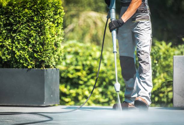 Best Roof Washing  in Mayville, WI