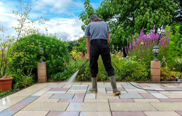 Best Parking Lot and Garage Cleaning  in Mayville, WI